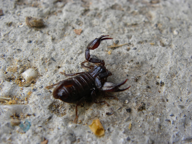 DSCN5606.JPG